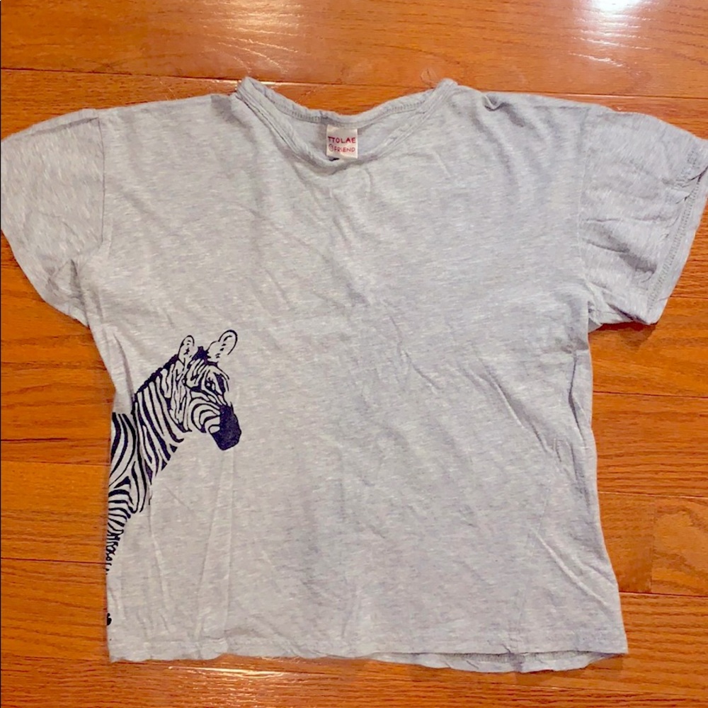 Zebra Print Graphic Crop Top